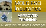 Mold Professional Liability Insurance